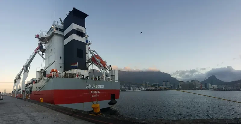 AMURBORG General Cargo IMO 9466336 photo 7