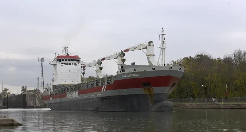 ALAMOSBORG General Cargo IMO 9466348 photo 4