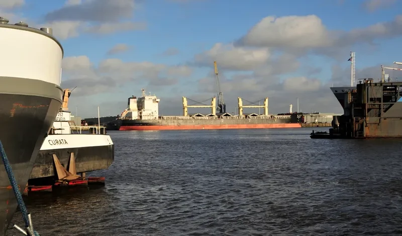 JIU HUA HAI Bulk Carrier IMO 9466520 photo 8