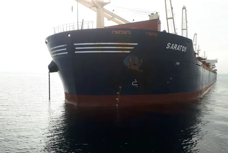 PURE VISION Bulk Carrier IMO 9466879 photo 2