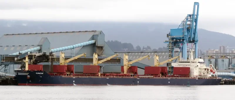 PURE VISION Bulk Carrier IMO 9466879 photo 4