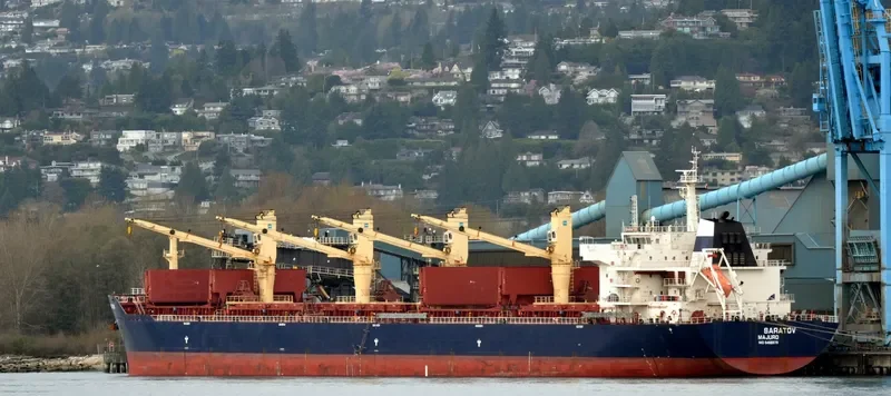 PURE VISION Bulk Carrier IMO 9466879 photo 5