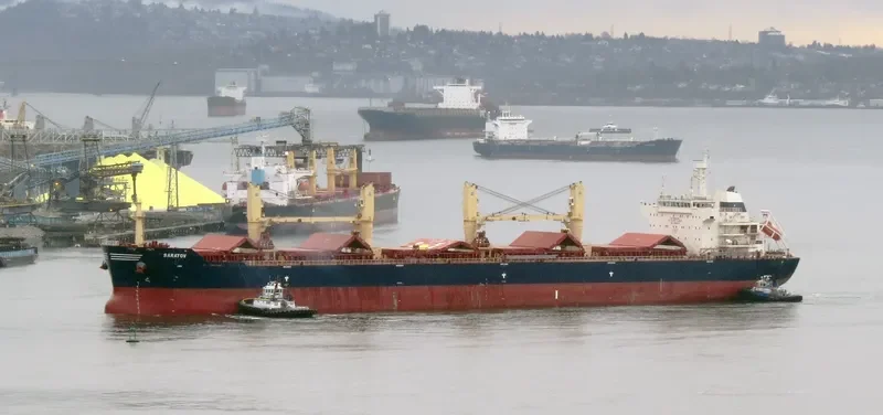 PURE VISION Bulk Carrier IMO 9466879 photo 6