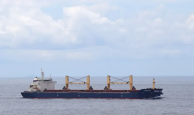 SEA LIBRA Bulk Carrier IMO 9466881 photo 3