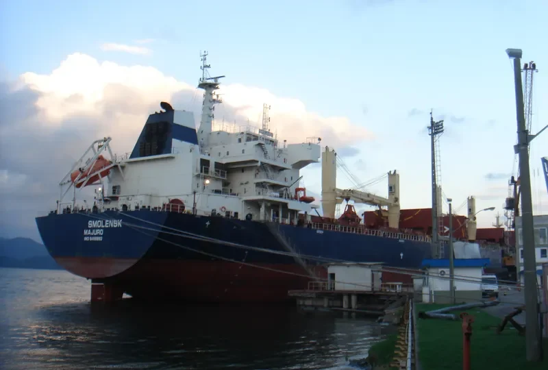ESPERIA Bulk Carrier IMO 9466893 photo 5