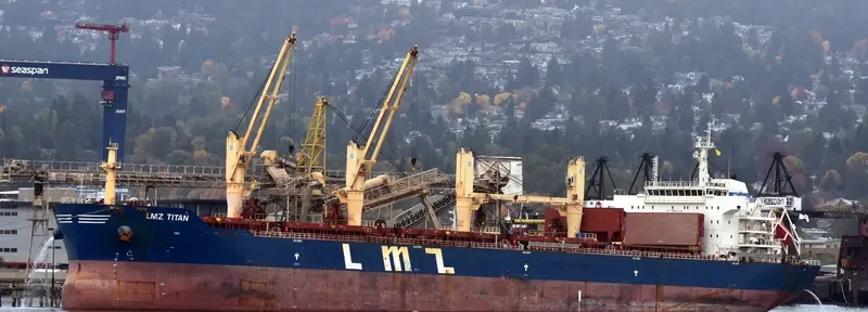 LMZ TITAN Bulk Carrier IMO 9466908 photo 6