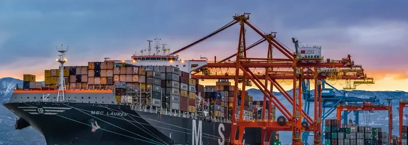 MSC LAUREN Container Ship IMO 9467407