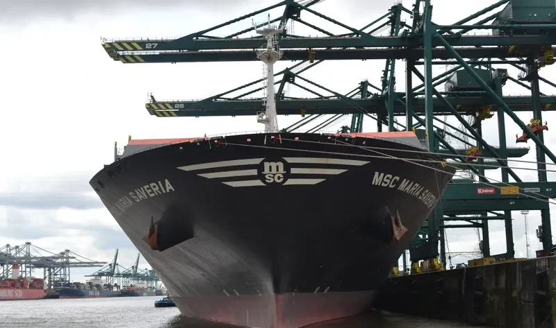 MSC MARIA SAVERIA Container Ship IMO 9467421 photo 2