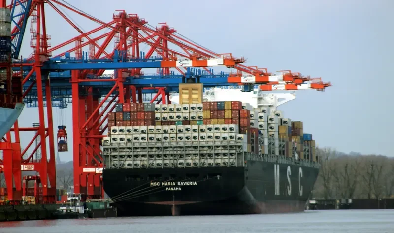 MSC MARIA SAVERIA Container Ship IMO 9467421 photo 4