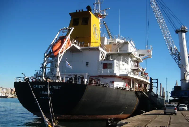 REVENGER Bulk Carrier IMO 9467548