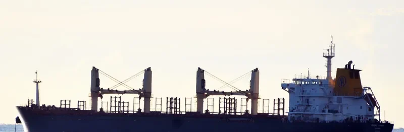 REVENGER Bulk Carrier IMO 9467548 photo 2