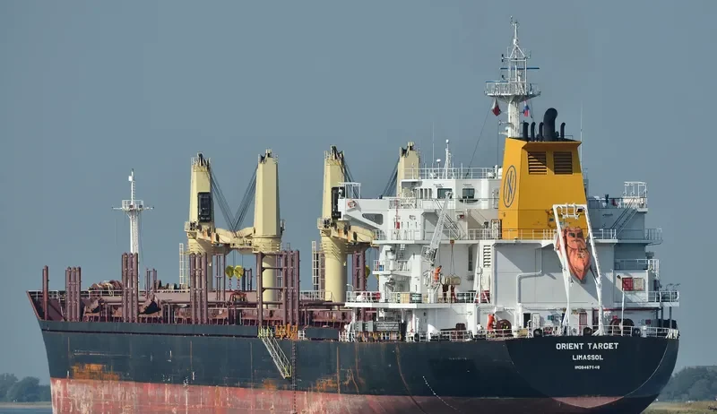 REVENGER Bulk Carrier IMO 9467548 photo 4