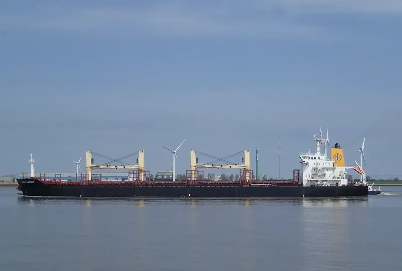 REVENGER Bulk Carrier IMO 9467548 photo 6