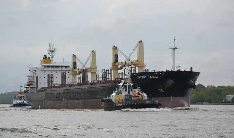 REVENGER Bulk Carrier IMO 9467548 photo 9