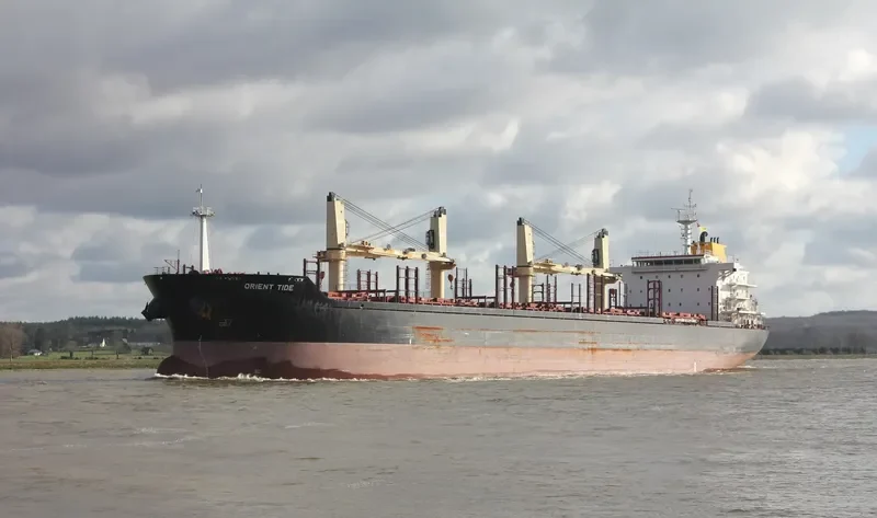 ORIENT TIDE Bulk Carrier IMO 9467550 photo 4
