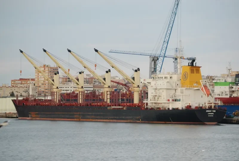 ORIENT TIDE Bulk Carrier IMO 9467550 photo 5