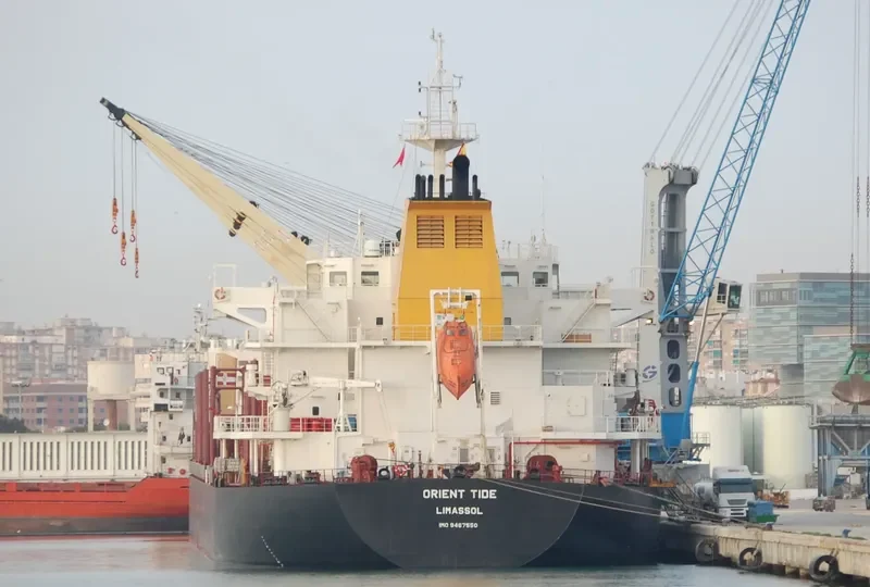 ORIENT TIDE Bulk Carrier IMO 9467550 photo 6