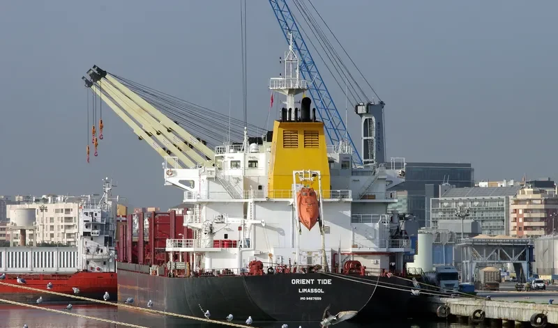 ORIENT TIDE Bulk Carrier IMO 9467550 photo 8