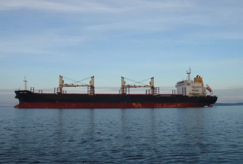 ORIENT TIDE Bulk Carrier IMO 9467550 photo 9