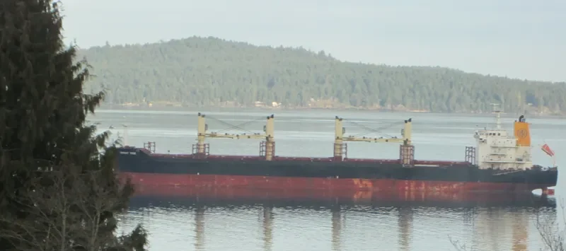 ORIENT TIDE Bulk Carrier IMO 9467550 photo 10