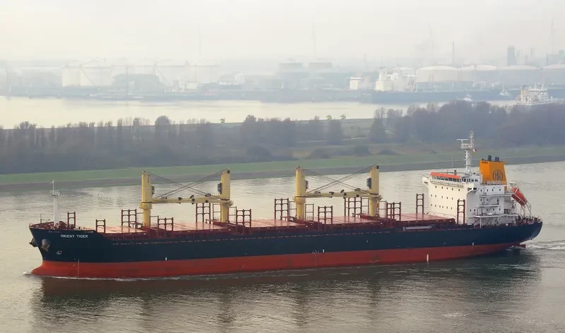 ORIENT TIGER Bulk Carrier IMO 9467562 photo 3