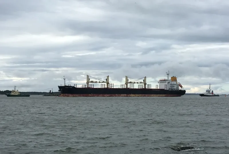 ORIENT TIGER Bulk Carrier IMO 9467562 photo 4