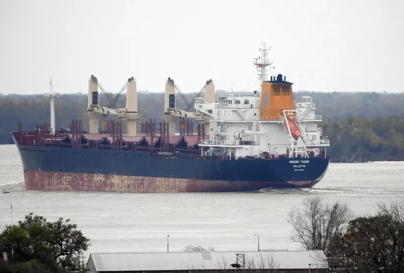 ORIENT TIGER Bulk Carrier IMO 9467562 photo 6