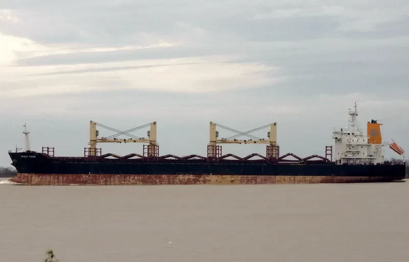 ORIENT TIGER Bulk Carrier IMO 9467562 photo 7