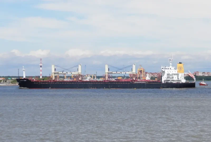ORIENT TIGER Bulk Carrier IMO 9467562 photo 9