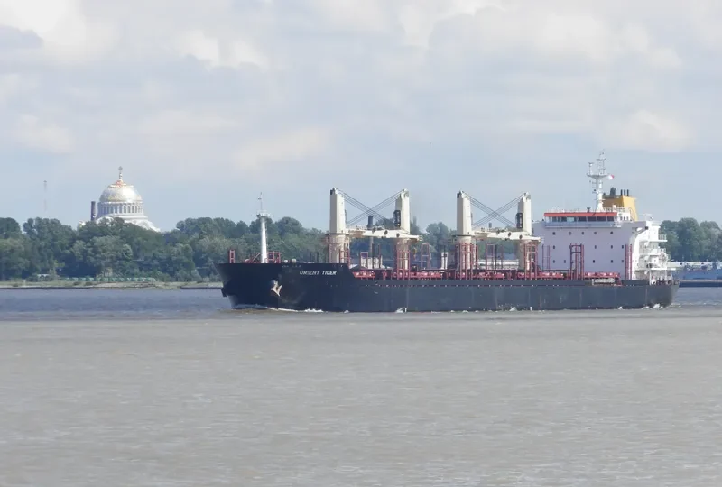 ORIENT TIGER Bulk Carrier IMO 9467562 photo 10