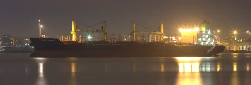 ORIENT TRADER Bulk Carrier IMO 9467574