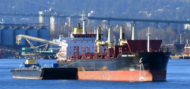 ORIENT TRADER Bulk Carrier IMO 9467574 photo 2
