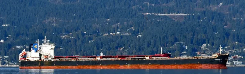 ORIENT TRADER Bulk Carrier IMO 9467574 photo 4