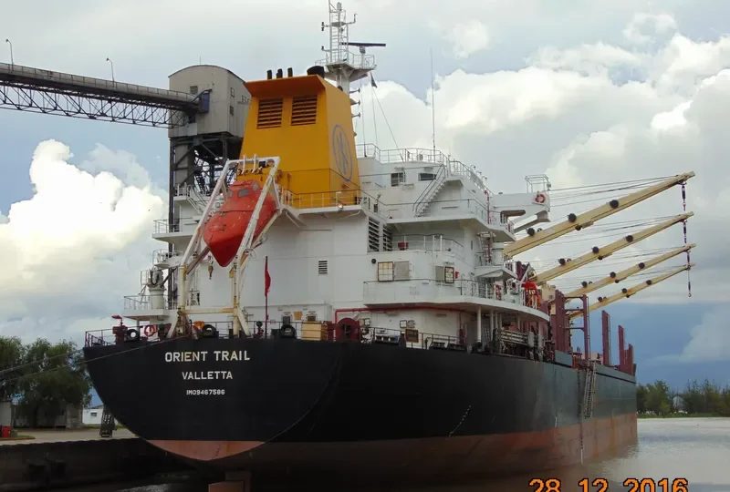 ORIENT TRAIL Bulk Carrier IMO 9467586 photo 4