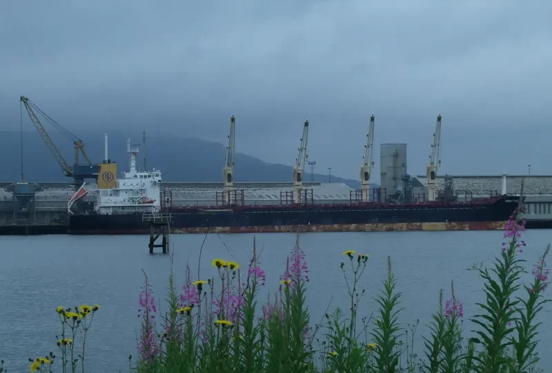 ORIENT TRAIL Bulk Carrier IMO 9467586 photo 6