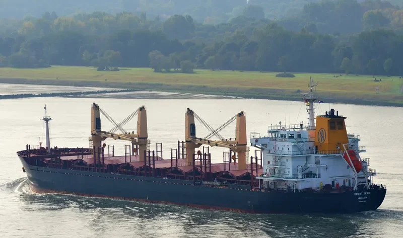 ORIENT TRAIL Bulk Carrier IMO 9467586 photo 7