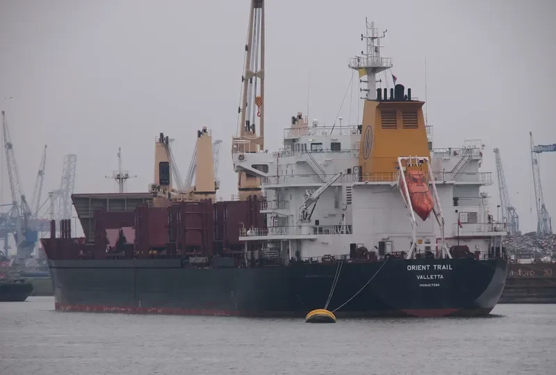ORIENT TRAIL Bulk Carrier IMO 9467586 photo 10