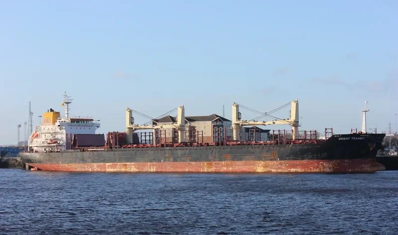 ORIENT TRANSIT Bulk Carrier IMO 9467598 photo 6