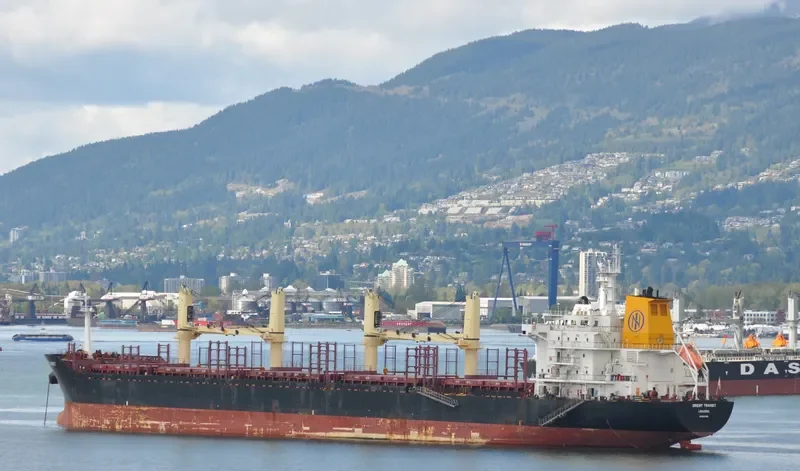 ORIENT TRANSIT Bulk Carrier IMO 9467598 photo 10