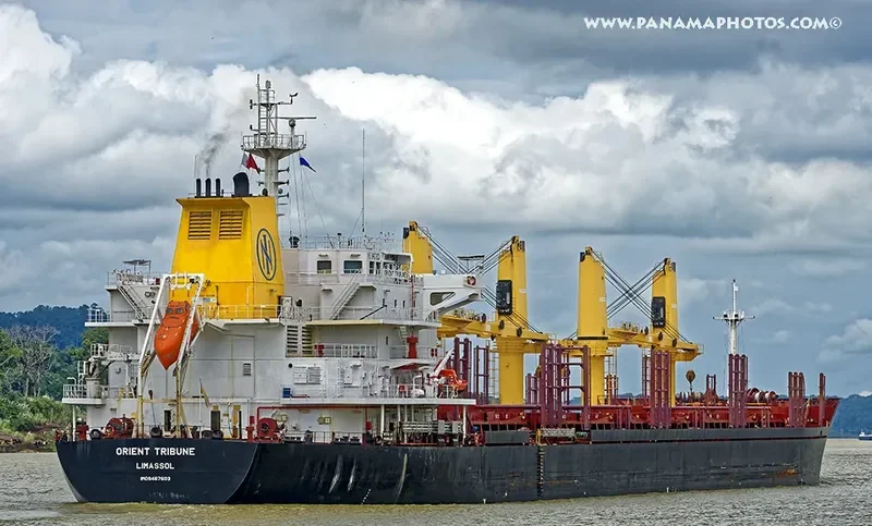 GLOBAL FORTUNE Bulk Carrier IMO 9467603