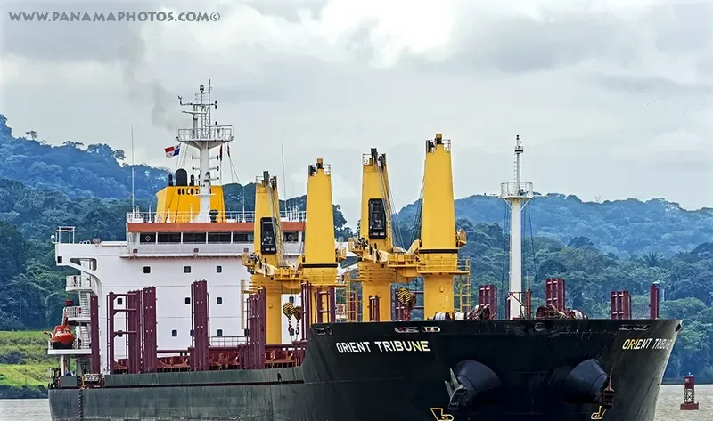 GLOBAL FORTUNE Bulk Carrier IMO 9467603 photo 2