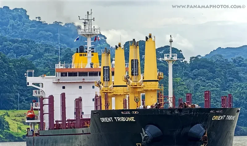 GLOBAL FORTUNE Bulk Carrier IMO 9467603 photo 3