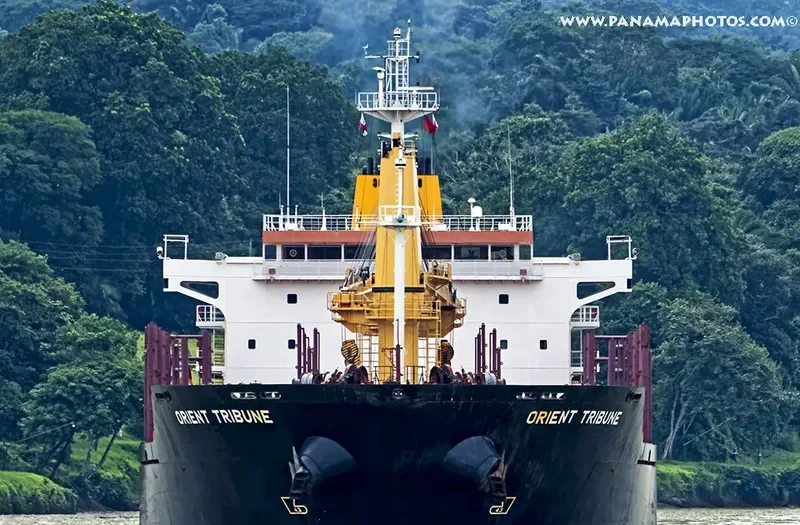 GLOBAL FORTUNE Bulk Carrier IMO 9467603 photo 4
