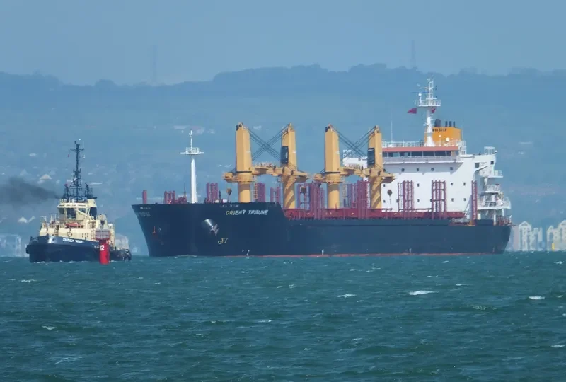 GLOBAL FORTUNE Bulk Carrier IMO 9467603 photo 5