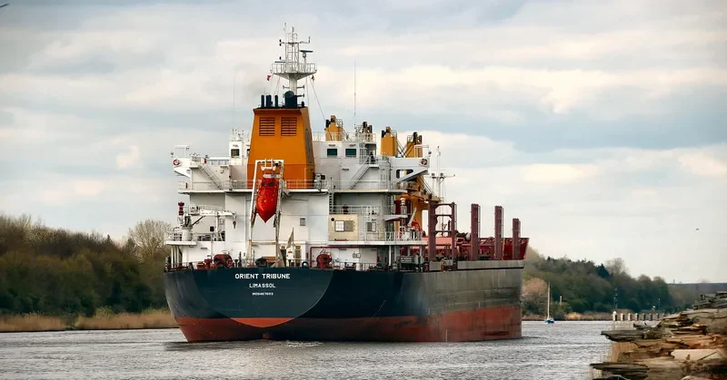 GLOBAL FORTUNE Bulk Carrier IMO 9467603 photo 6