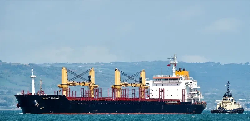 GLOBAL FORTUNE Bulk Carrier IMO 9467603 photo 7