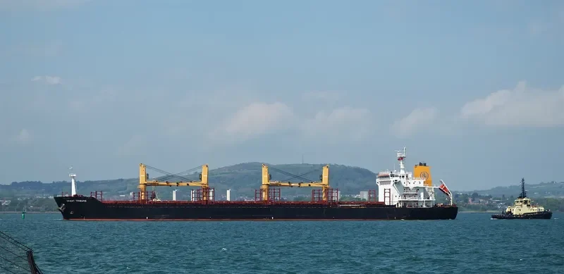 GLOBAL FORTUNE Bulk Carrier IMO 9467603 photo 8