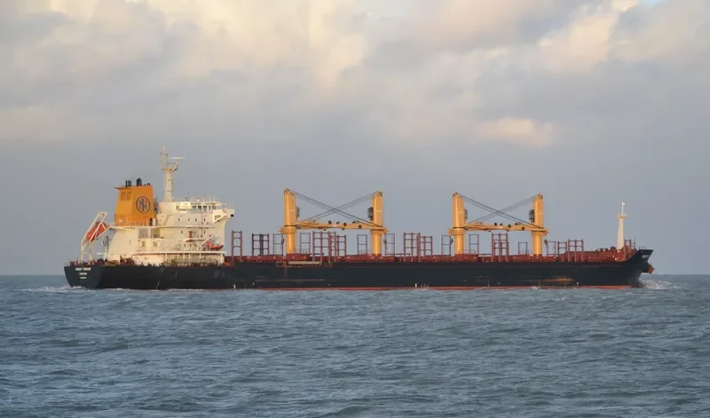 GLOBAL FORTUNE Bulk Carrier IMO 9467603 photo 9