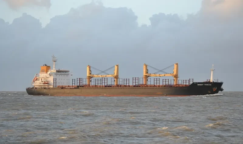 GLOBAL FORTUNE Bulk Carrier IMO 9467603 photo 10