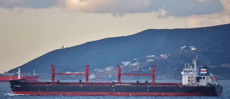 XIN HAI JIA Bulk Carrier IMO 9467859 photo 4